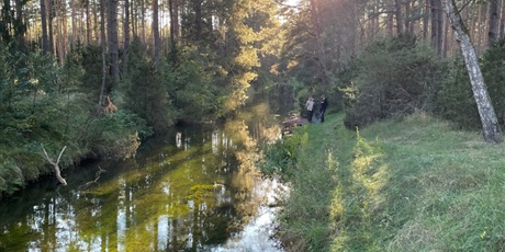 Powiększ grafikę: wycieczka-w-bory-tucholskie-650659.jpg